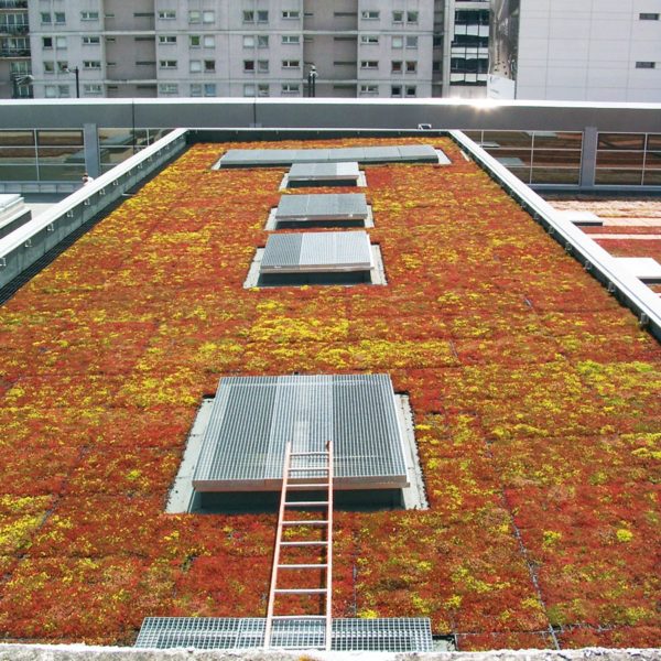 ECOSEDUM PACK- zelená střecha- využití v praxi