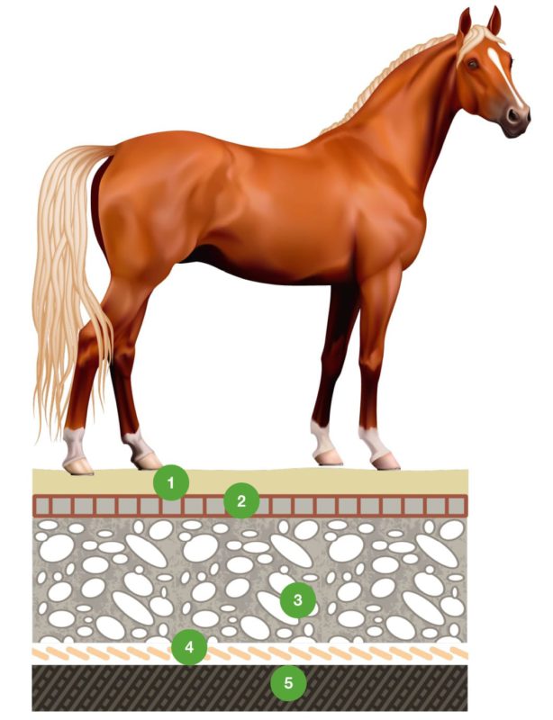ECORASTER- zatravňovací dlažba- ECORASTER- využití pro koně