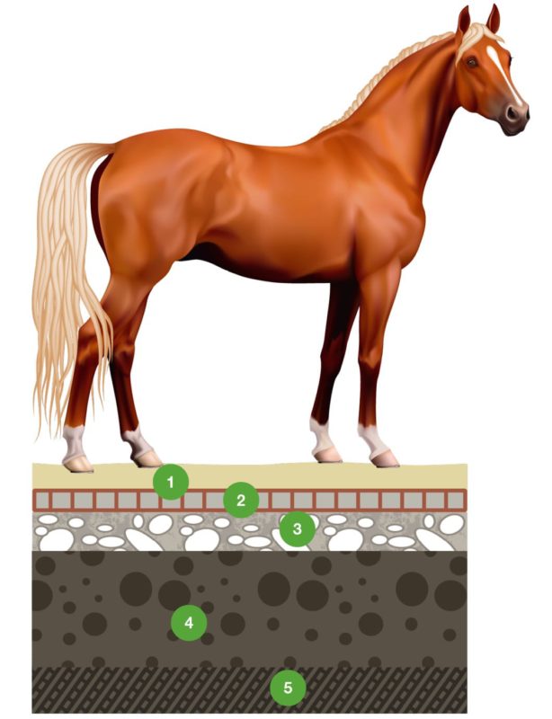 ECORASTER- zatravňovací dlažba- ECORASTER- využití pro koně