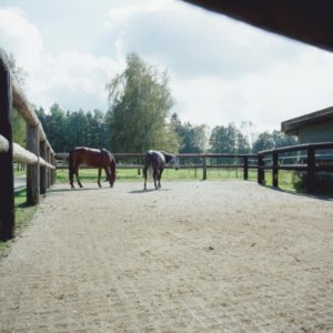 ECORASTER- zatravňovací dlažba- ECORASTER- využití v praxi