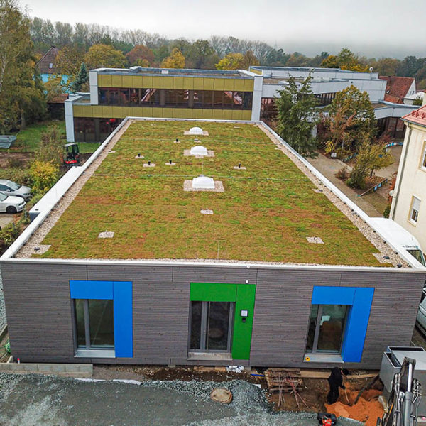 Nová zelená střecha ECOSEDUM PACK - osázená