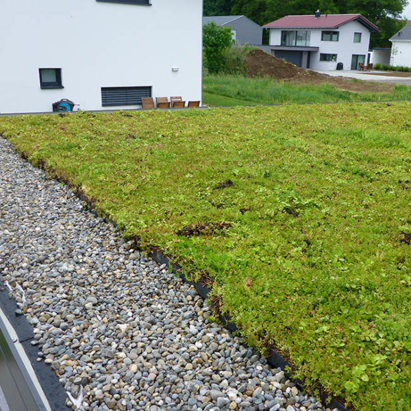 Zelená střecha ECOSEDUM PACK se zásypem okrajů