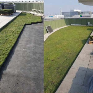 Zelená střecha ECOSEDUM PACK vytváří možnosti řezání