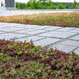 Zelená střecha ECOSEDUM PACK s ECORASTER BLOXX