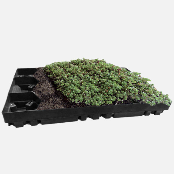 Zelená střecha ECOSEDUM Pack 65 – osázený