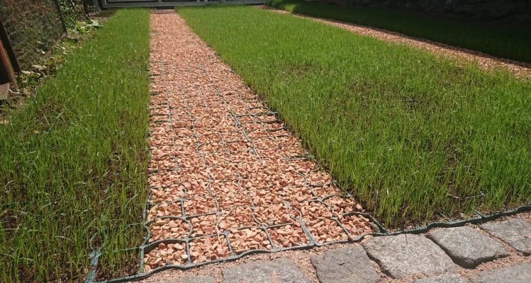 Plastová zatrávňovací dlažba ECORASTER E50